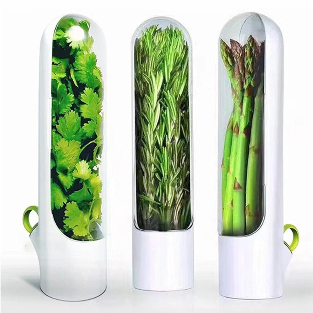 Boite Herbes fraiches conservation - Fraîcheur-Sympa™