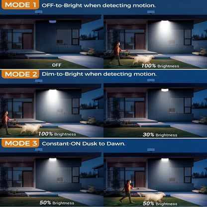 Raylux™ LED solar outdoor wall light