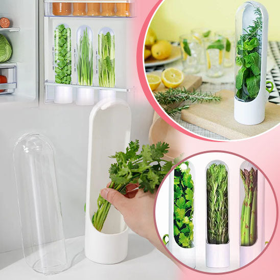 Fresh Herbs Storage Box - Fraîcheur-Sympa™ 