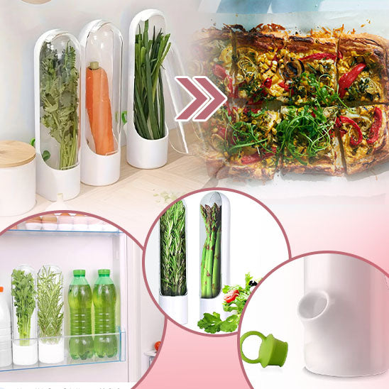 Fresh Herbs Storage Box - Fraîcheur-Sympa™ 